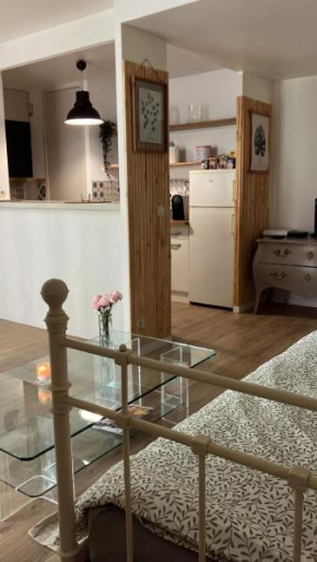 Appartement sûr et garage au Stade de France à 2 mn de Paris, 20 de Roissy CDG et 30 de La Défense Animaux bienvenus